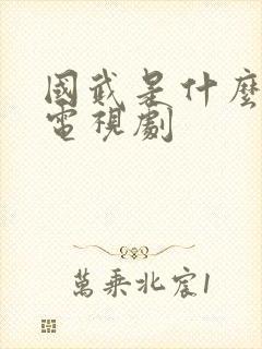 国武是什么抗战电视剧