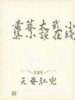黄蓉大武小武合集小说在线阅读