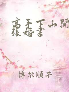 高手下山开局九张婚书