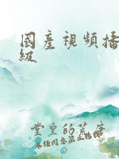 国产视频播放三级