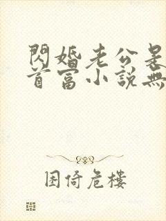 闪婚老公是千亿首富小说无弹窗