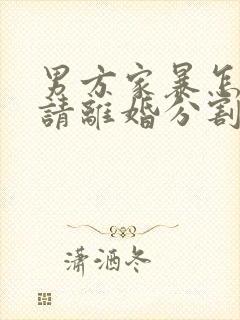 男方家暴怎么申请离婚分割财产