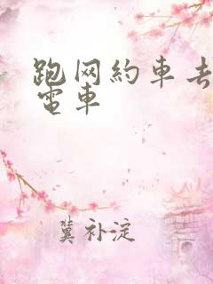 跑网约车去哪租电车