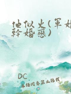 他似火(军婚高干婚恋)
