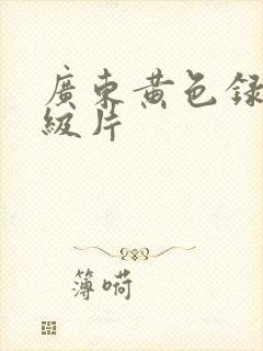 广东黄色录像一级片