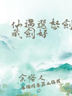 仙遇选怒剑还是藏剑好