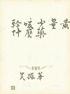 干咳少量黄痰吃什么药