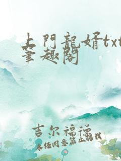 上门龙婿txt笔趣阁