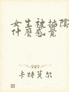 女生被插阴道是什么感觉