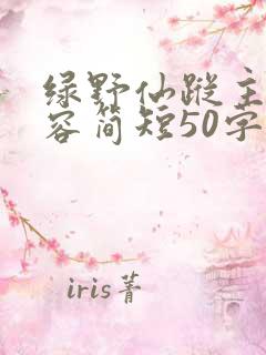 绿野仙踪主要内容简短50字