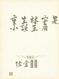 重生林宇是哪部小说主角