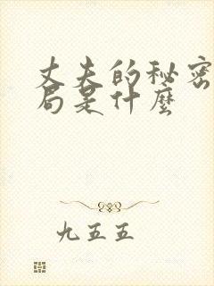 丈夫的秘密大结局是什么