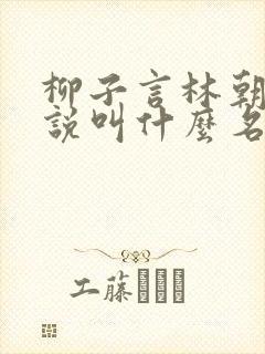 柳子言林朝颜小说叫什么名字