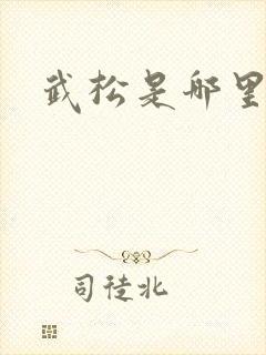 武松是哪里的人