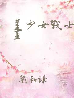美少女战士 动画