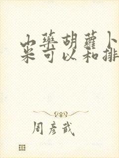 山药胡萝卜藕玉米可以和排骨一起炖吗