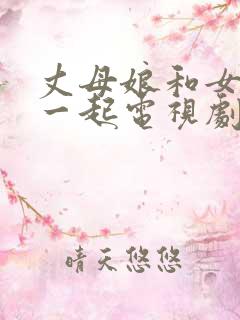 丈母娘和女婿在一起电视剧