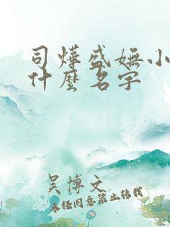 司烨盛妩小说叫什么名字