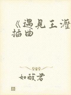 《遇见王沥川》插曲