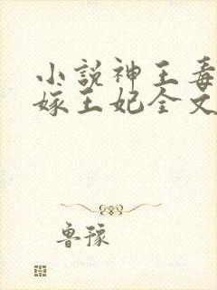 小说神王毒宠二嫁王妃全文