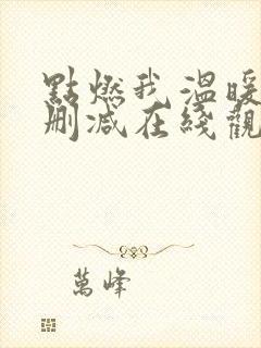 点燃我温暖你无删减在线观看