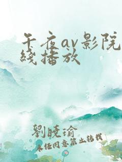 午夜av影院在线播放