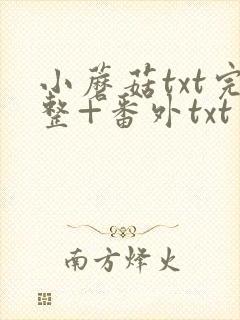 小蘑菇txt完整+番外txt