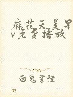 麻花天美星空mv免费播放