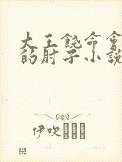 大王饶命会说话的肘子小说未删减版