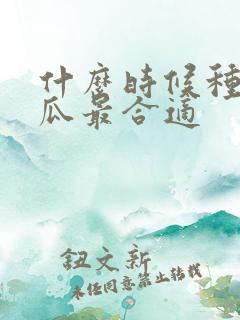 什么时候种秋黄瓜最合适