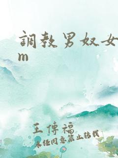 调教男奴女s男m