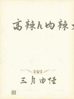 高辣h肉辣文