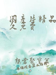 国产片精品久久久免费