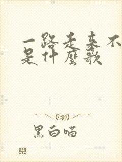 一路走来不容易是什么歌