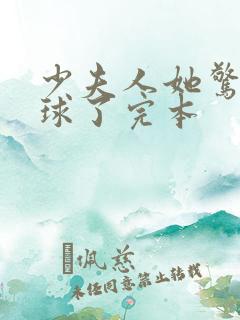 少夫人她惊艳全球了完本