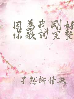 因为我刚好遇见你歌词完整版