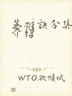 英雄诀分集剧情介绍