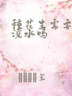 种花生需要经常浇水吗