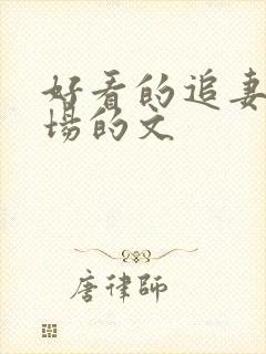 好看的追妻火葬场的文