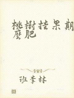 桃树挂果期施什么肥
