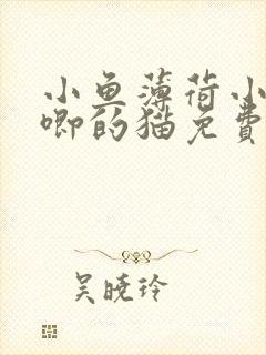 小鱼薄荷小说唧唧的猫免费阅读全文
