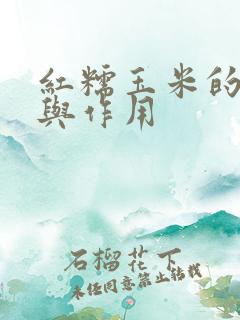 红糯玉米的功效与作用