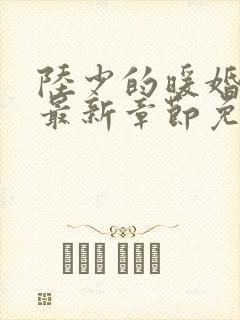 陆少的暖婚新妻最新章节免费阅读 陆少的暖婚新妻最新章节免费阅读