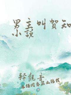 男主叫贺知州的小说