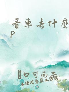 看车去什么app