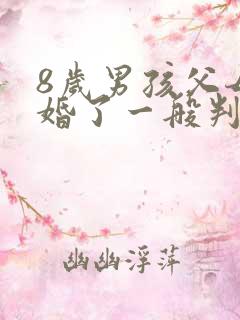 8岁男孩父母离婚了一般判给谁