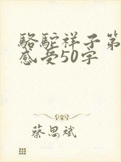 骆驼祥子第3章感受50字