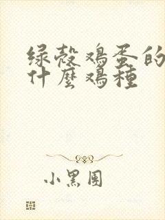 绿壳鸡蛋的鸡是什么鸡种