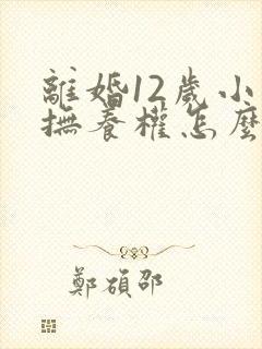 离婚12岁小孩抚养权怎么判定