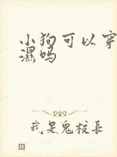 小狗可以穿尿不湿吗